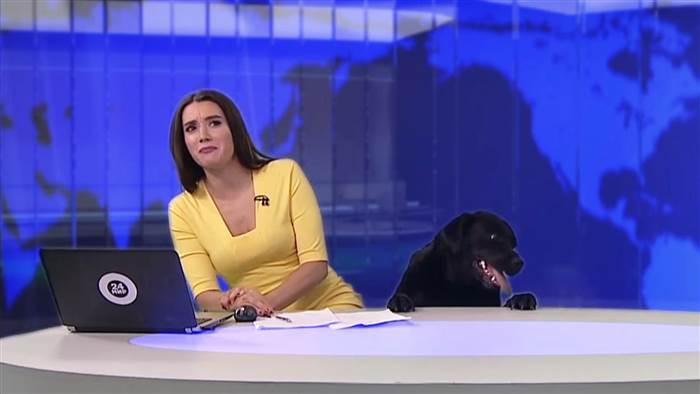 Az orosz műsorvezetőnő és a vidám fekete kutya híressé váltak