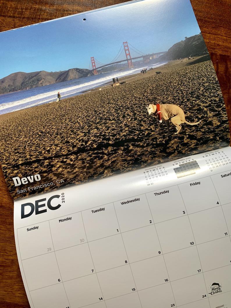 ... azért a kutyák véleményére is kíváncsiak lennénk a naptárat illetően. :)