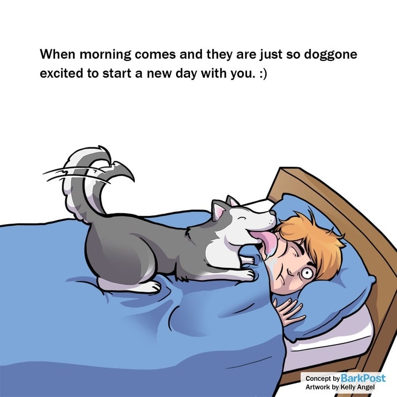 Kutyád minden reggel puszival ébreszt?