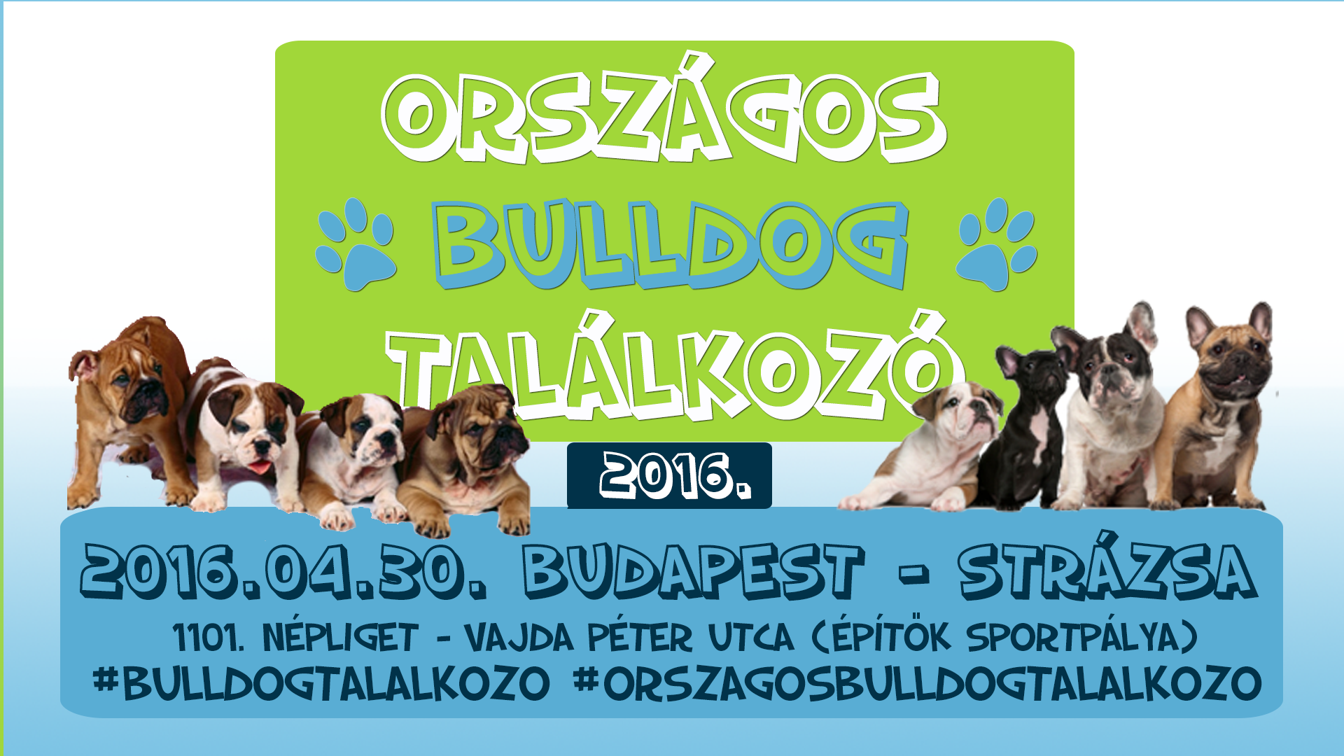  Országos Bulldog Találkozó 2016