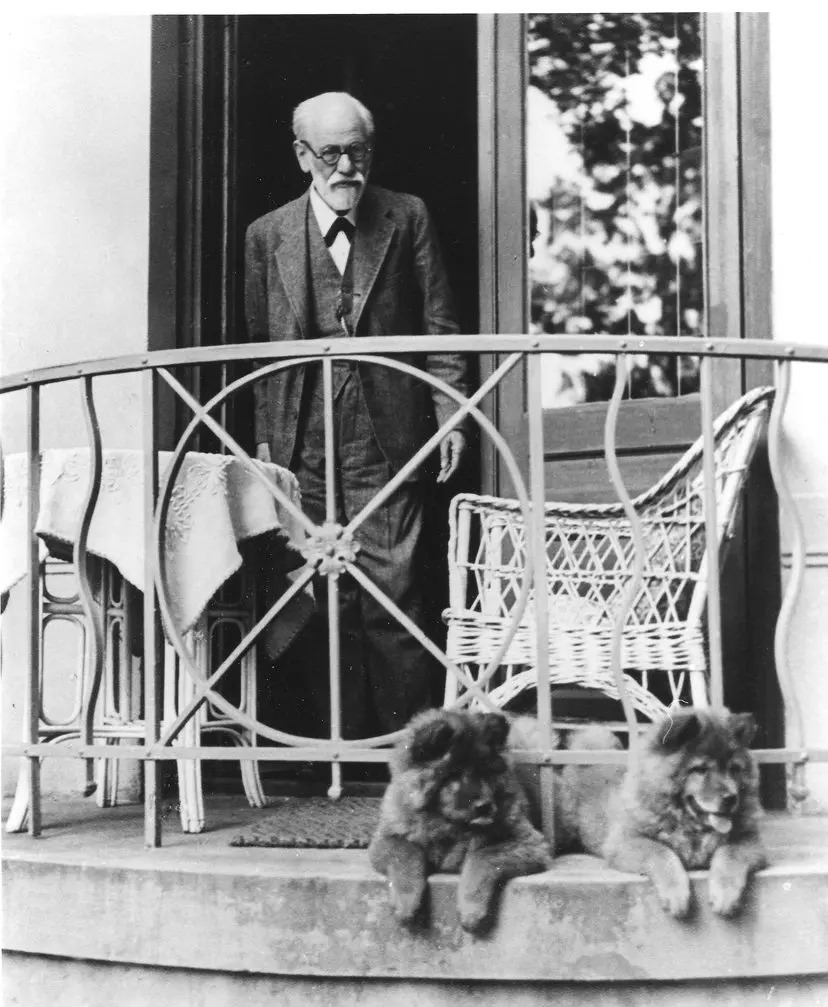 Sigmund Freud és a két csau csau, Jofi és Lun