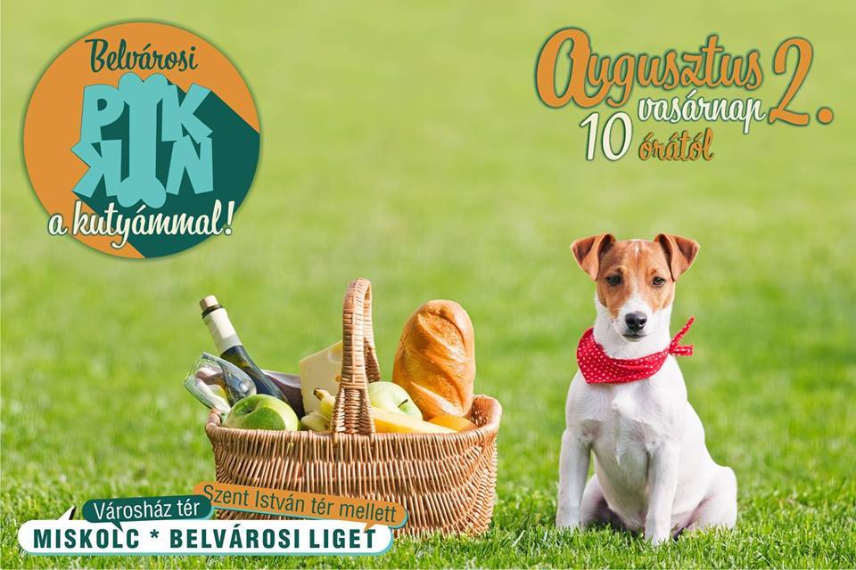 Miskolci Belvárosi Piknik 2015