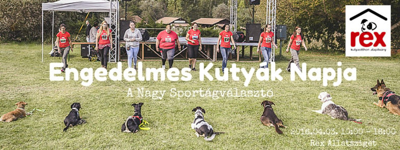  Engedelmes Kutyák Napja - Nagy Kutyás Sportágválasztó