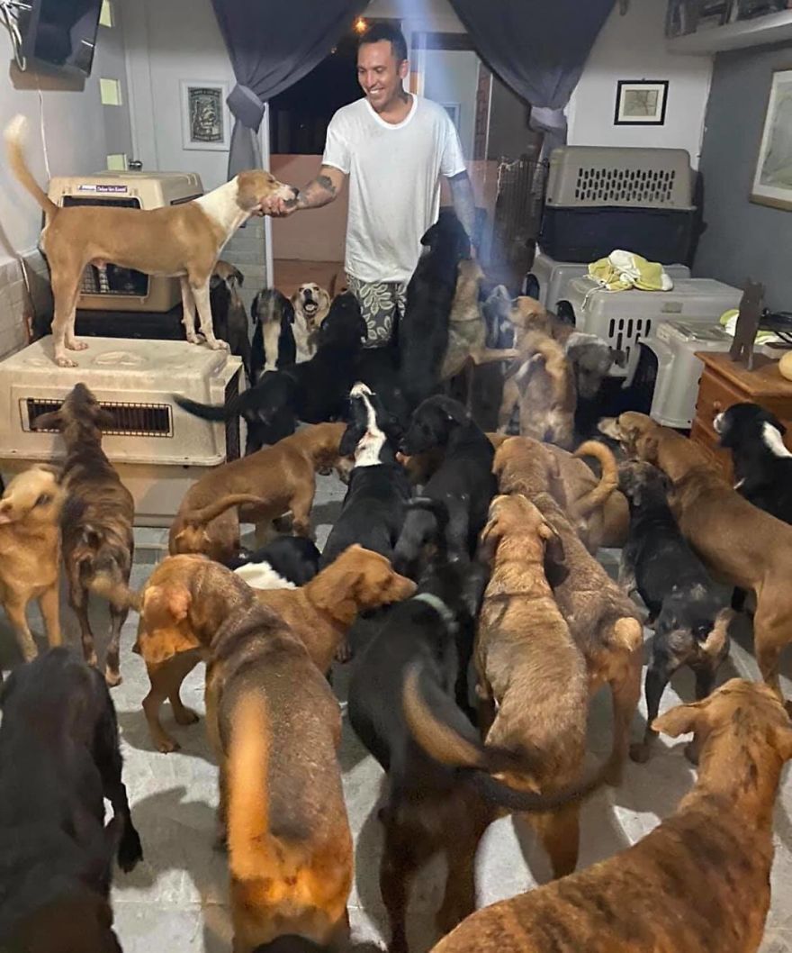 Több száz kutyát látott el a házában Ricardo