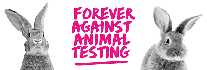 A Petcup verseny szervezői határozottan elutasítják a kozmetikai célú állatkísérleteket, és mindenkit erre buzdítanak