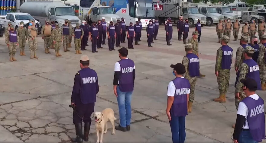 Hivatalosan is örökbefogadta a mexikói tengerészek családja az árvízből mentett kutyát