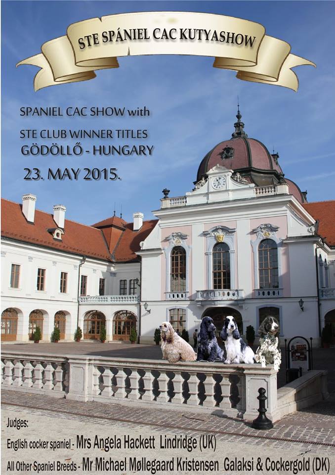  STE Spaniel CAC Club Show 2015 - Spániel CAC Kutya Show 2015