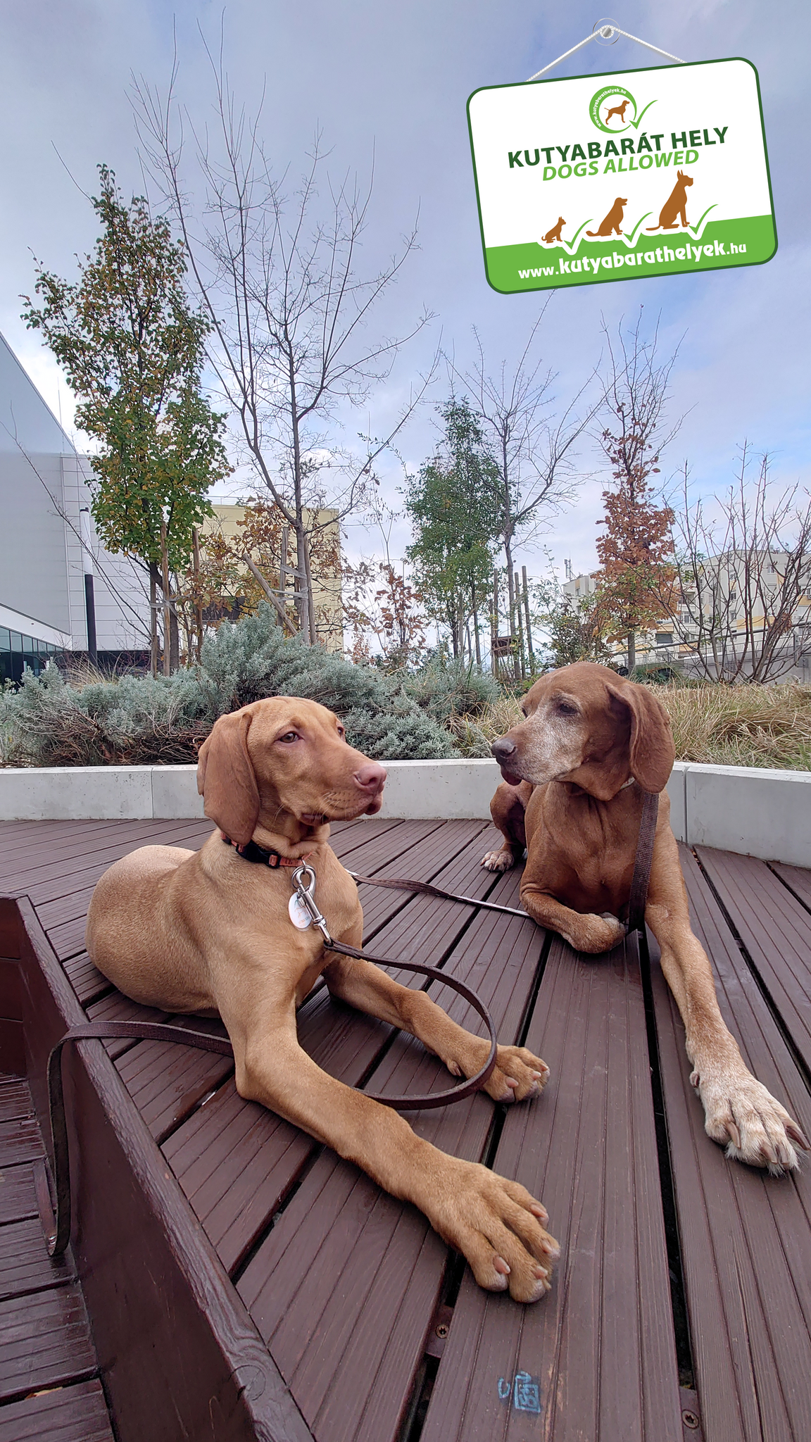 Sári és Rózi az Etele plázában