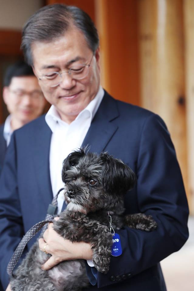 Először lesz keverék kutya Dél-Korea első kutyája