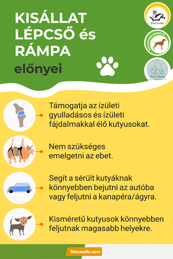 Kisállat rámpa és lépcső - előnyök