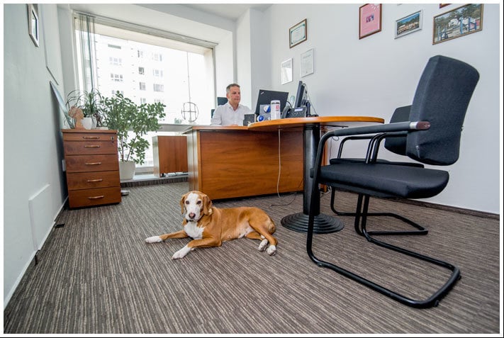 A kutya jelenléte oldja a stresszt a munkahelyen