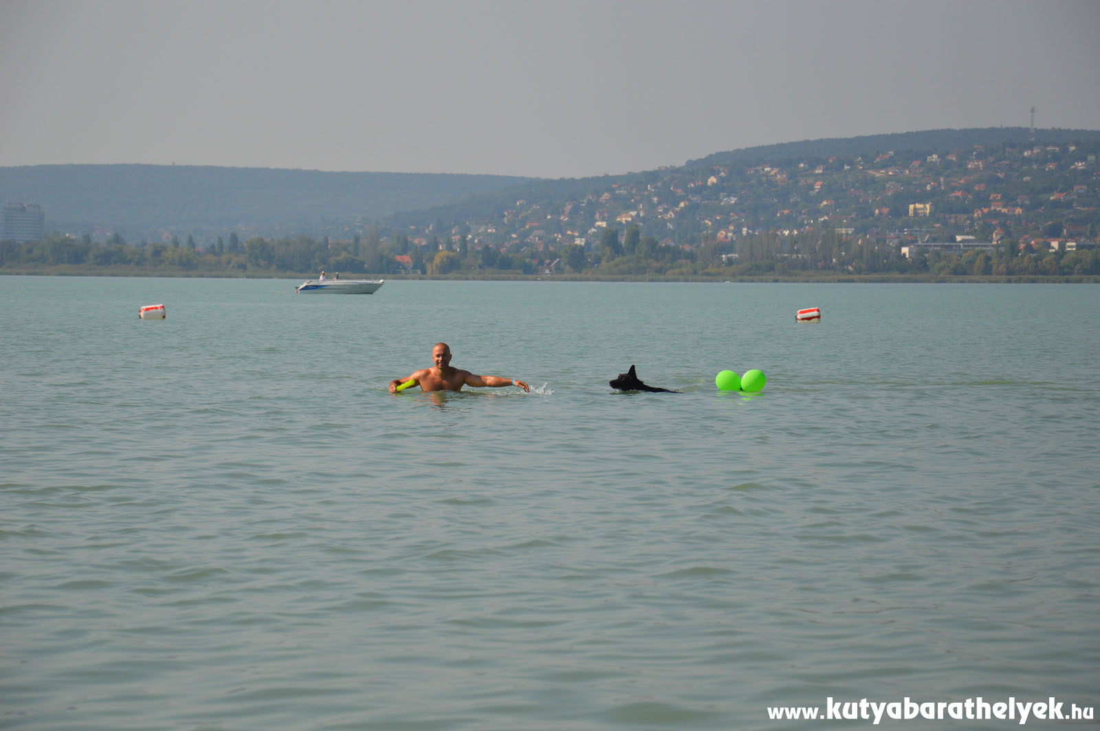 Kutya-gazdi úszóverseny