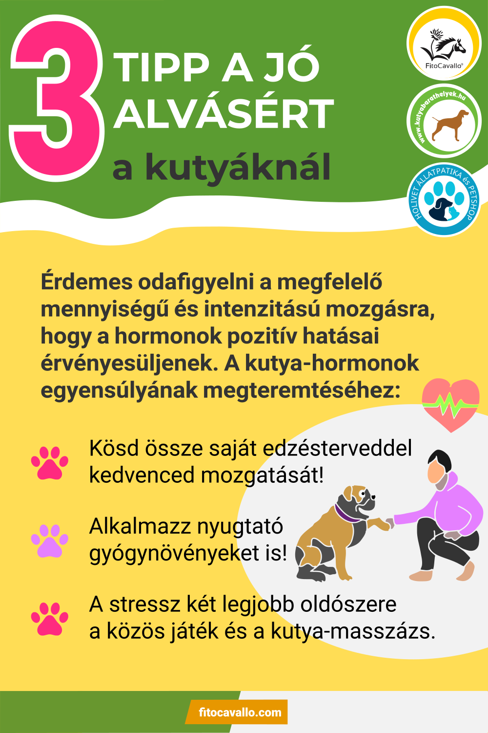 Mozgáshiány okozta nyugtalanság és alvászavar kutyáknál - 3 tipp a kutya jó alvásáért