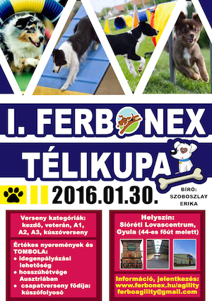 I. Ferbonex Téli Kupa