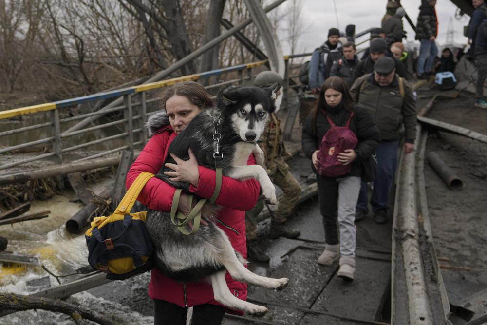 Nem hagyják hátra állataikat: Ha kell, ölben cipelve, vállra vetve hozzák kedvenceiket az ukrajnából menekülőgazdik