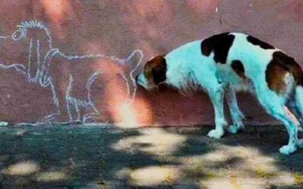 A másik kutya hátsójának megszaglászása olyannyira ösztönös, hogy még egy rajzolt kutyánál is bekapcsol