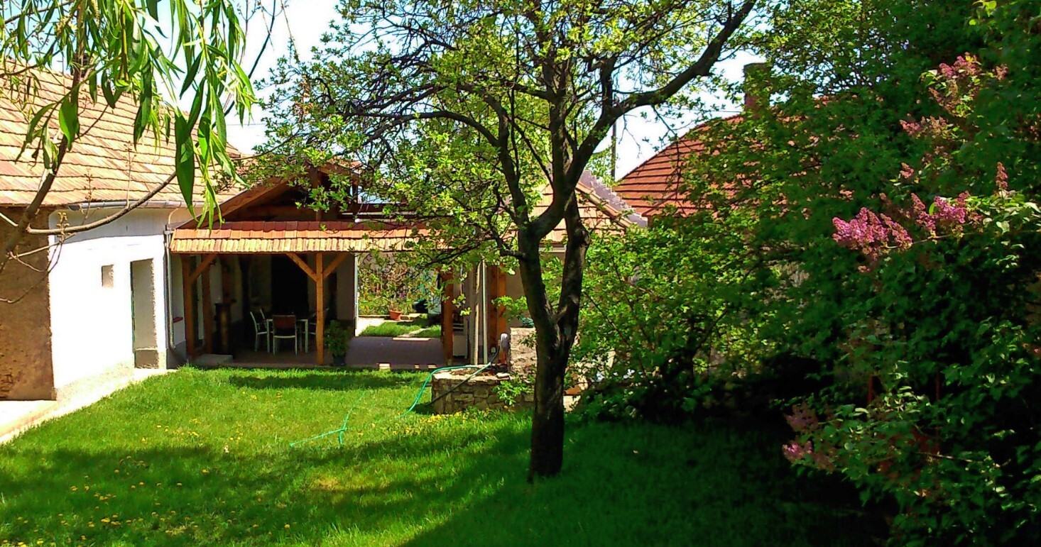 zöldkapus