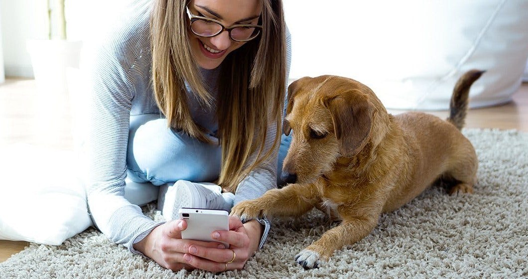 Ha a kutya meghallja a gazdi hangját a telefonban, megpróbálhatja megérinteni a hang forrását
