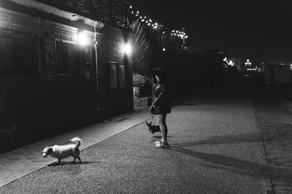 A kistestű kutyák jelenléte is növelheti a biztonságérzetet a sötét utcán