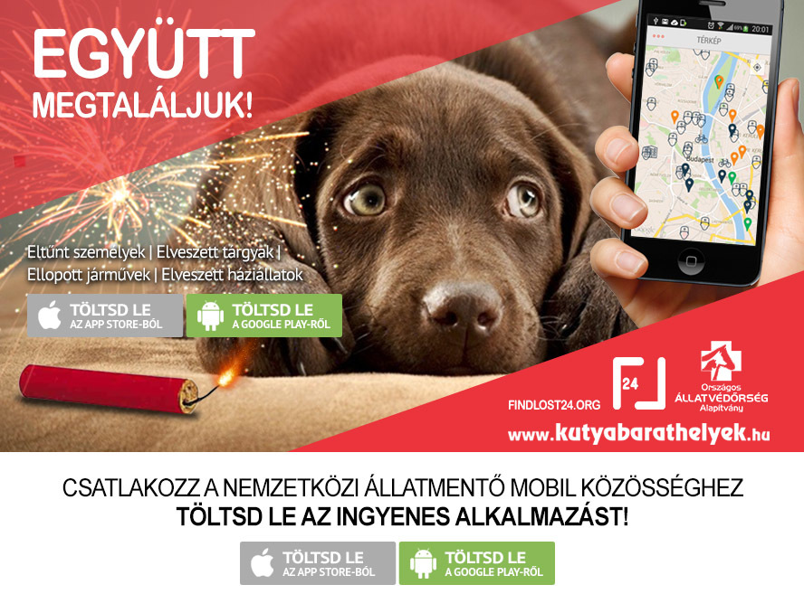 Findlost24 - Segíts megtalálni az elveszett kutyusokat!