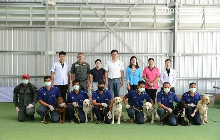 Thaiföldön több kutyát is kiképeztek a koronavírus kiszagolására