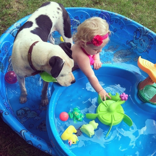 Eisleigh és Clyde a medencében is együtt játszanak