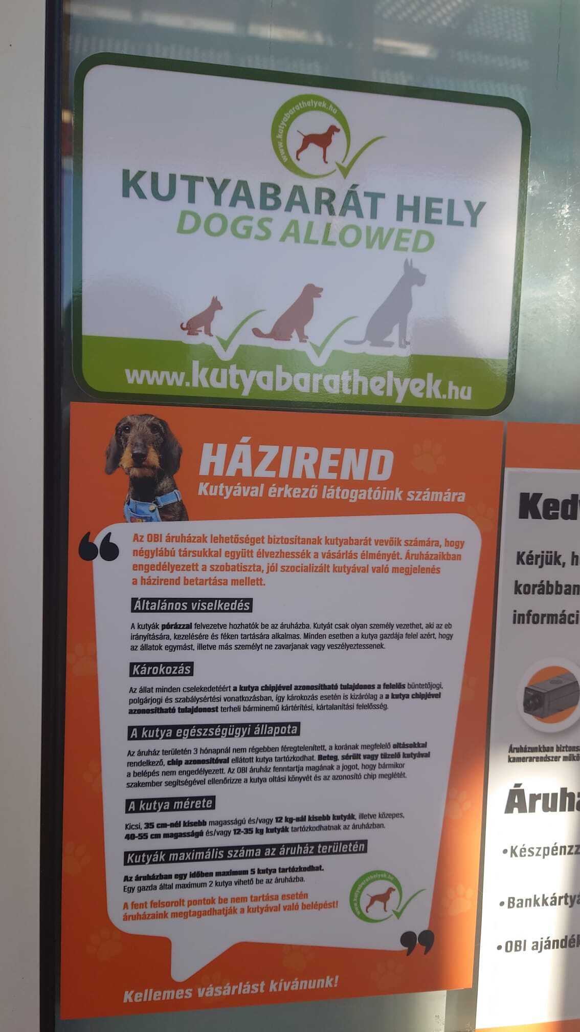 Kutyabarát hely védjegymatrica és a kutyabarát házirend az OBI áruház bejáratánál