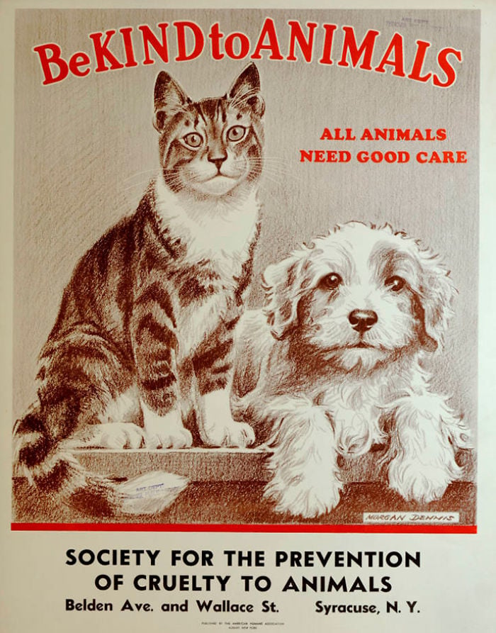 Be Kind to Animals - Plakátok a ‘30-as évekből az állatok védelméért - 5 