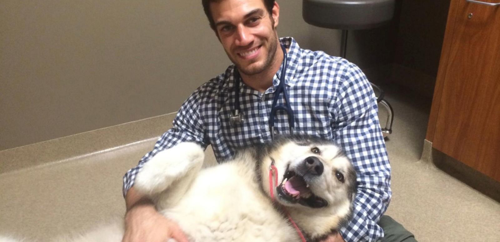 Dr Evan Antin - a jóképű állatorvos, akiért megőrül az internet