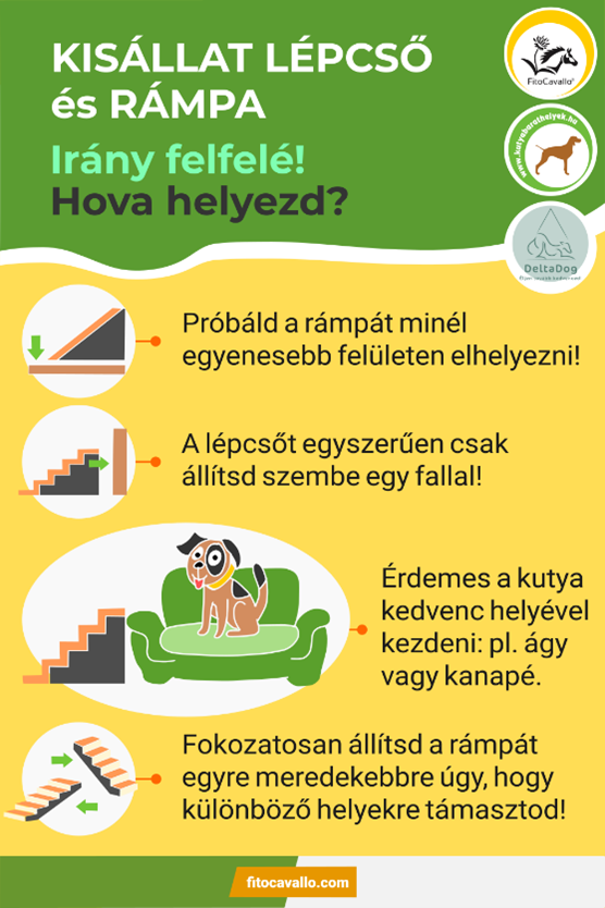 Kisállat rámpa és lépcső - elhelyezés