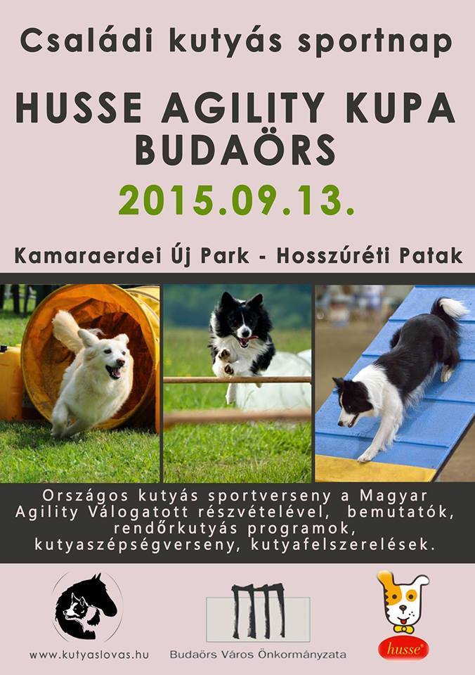 Husse Agility Kupa 2015