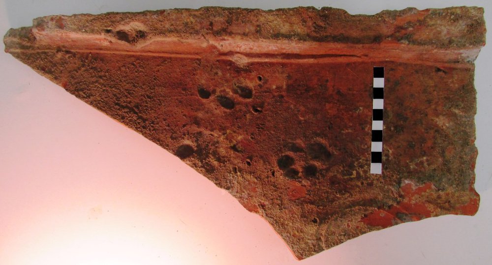 Tetőfedő cserép-darabokon is találtak kutya-lábnyomokat