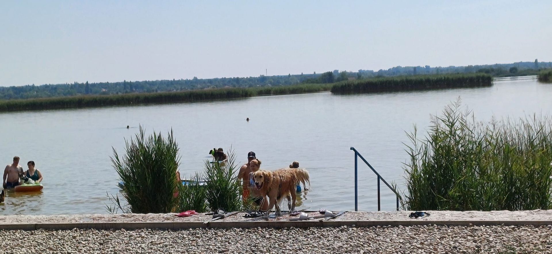 Velencei Pagony Kemping és Strand