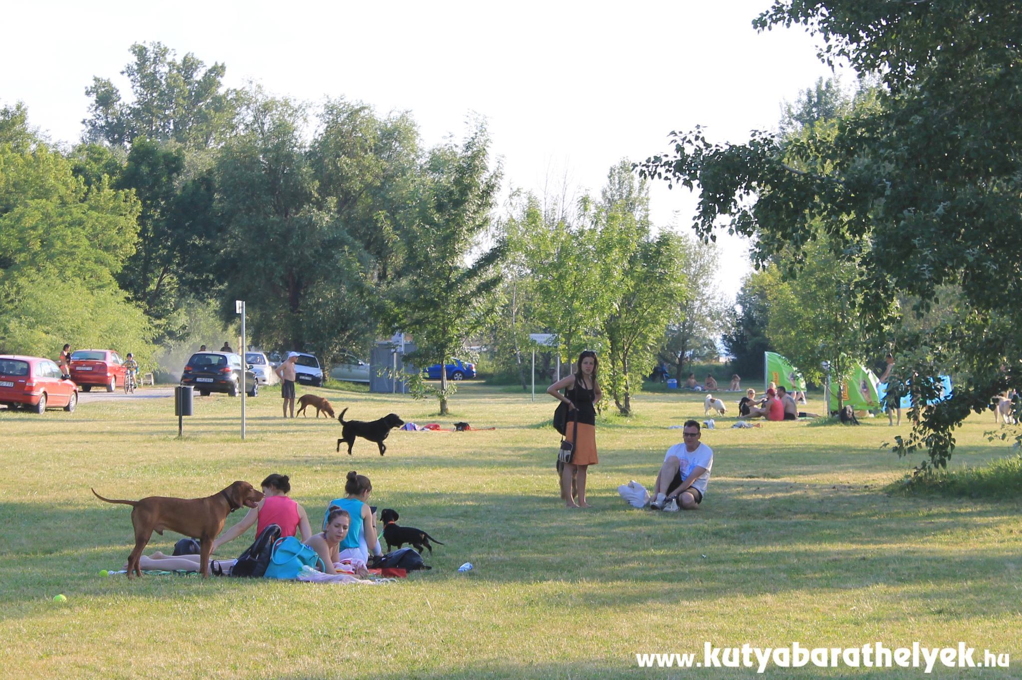 Sokan érkeztek a kutyájukkal a Balatonra