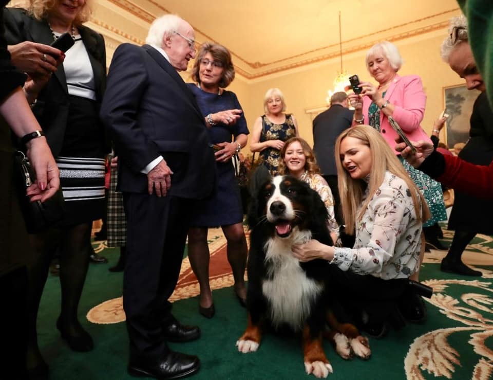 Szinte minden eseményre elkísérik Michael D. Higgins-t, Írország miniszterelnökét kutyái