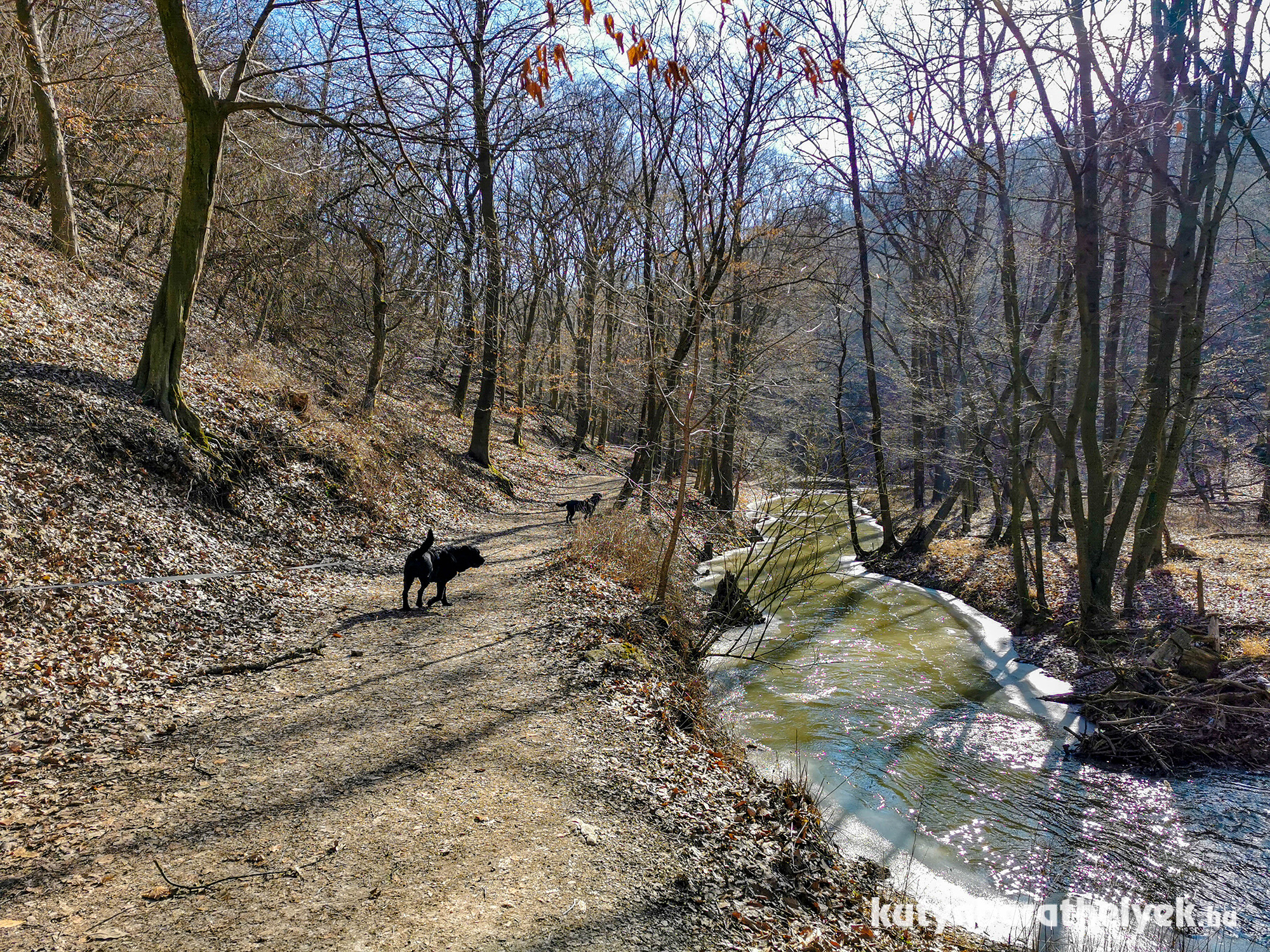 Kirándulás kutyával a Gaja völgyben, akár télen is