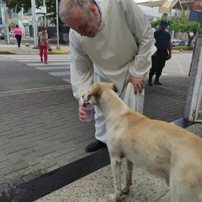Élelmet is vizet is ad a kóbor kutyáknak a pap