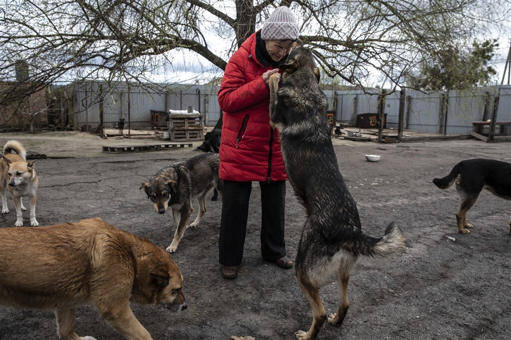 Többszáz kutya és macska él az ukrajnai menhelyen - mindegyikük hálás a törődésért