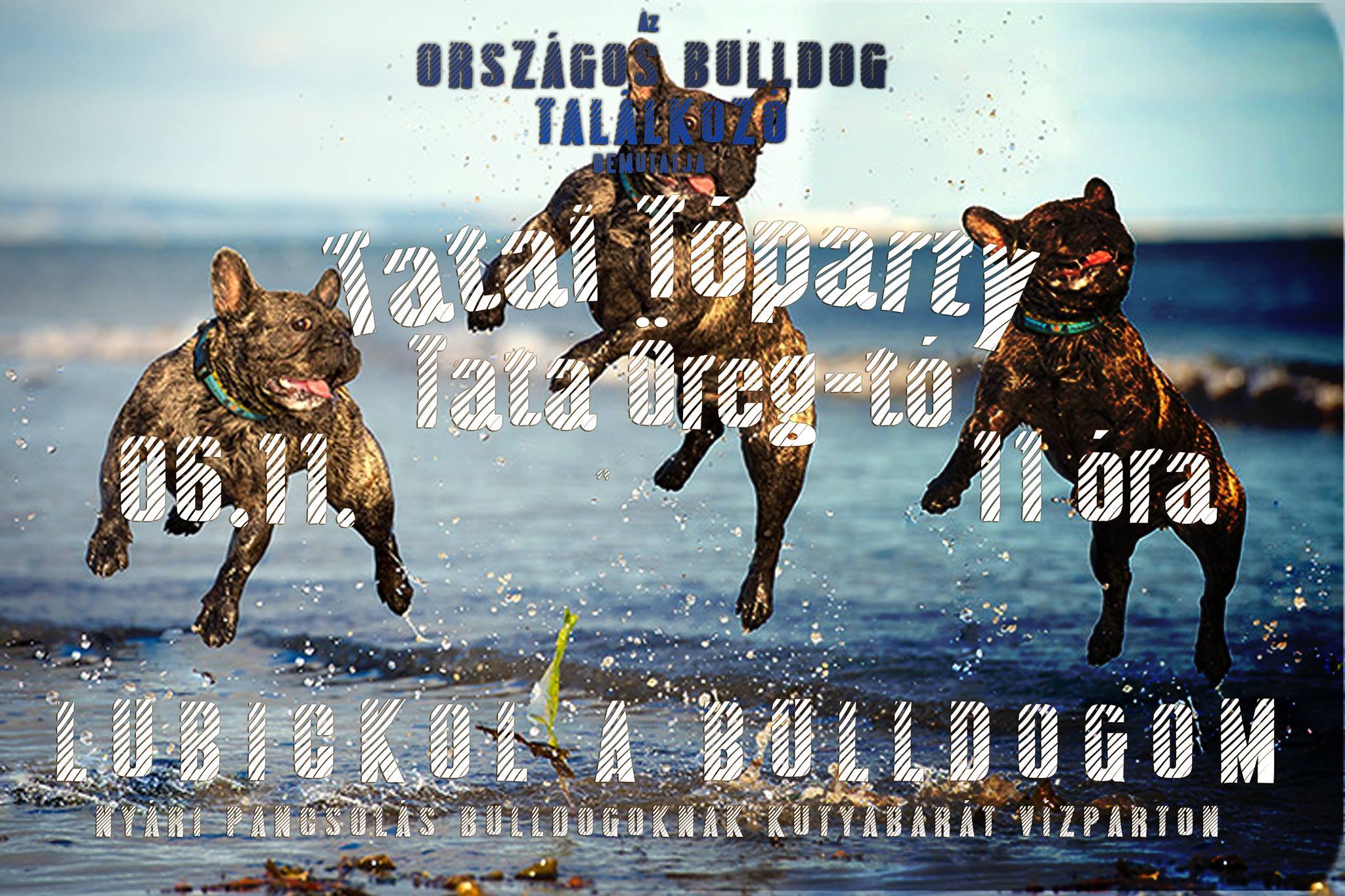 Lubickol a bulldogom