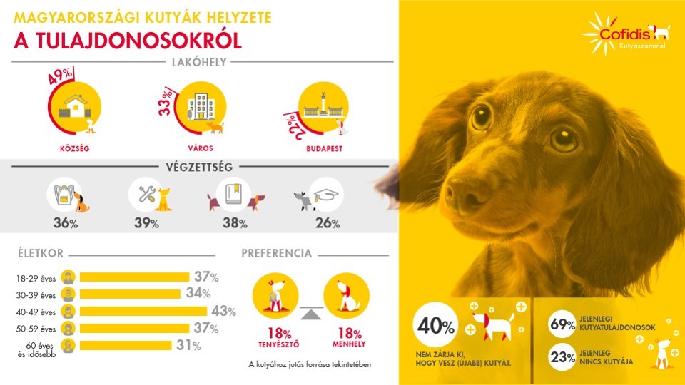 A magyar kutyatulajdonosokról