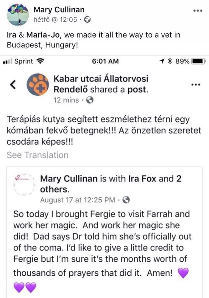 Fergie gazdája meglepődött, hogy még Magyarországra is eljutott a hír