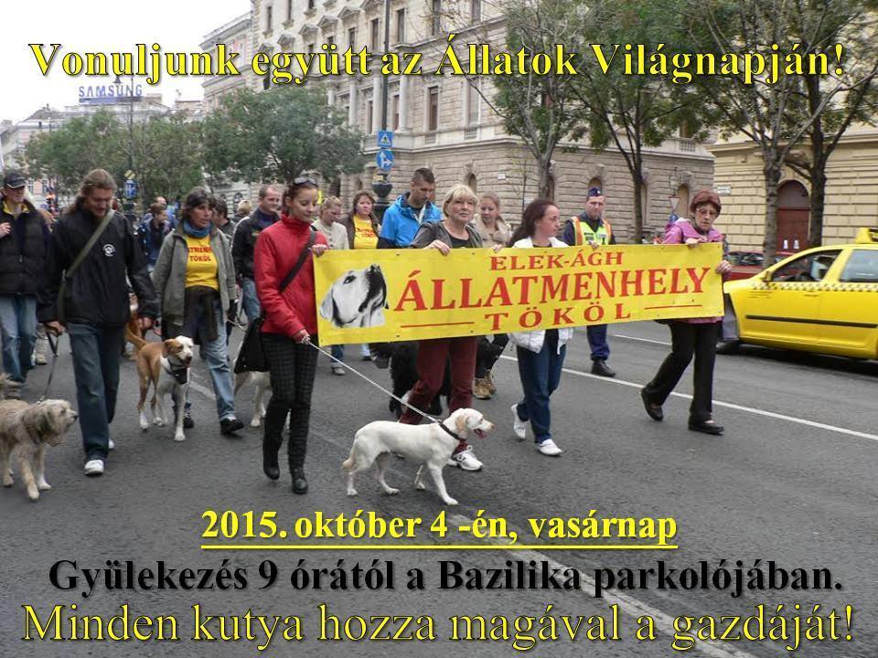 Felvonulás az Állatok Világnapján