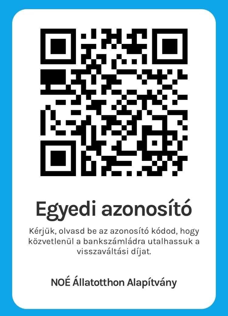 Noé Állatotthon Alapítvány.jpg
