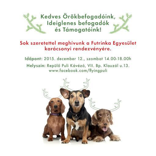  Karácsony a Futrinka Egyesülettel 2015