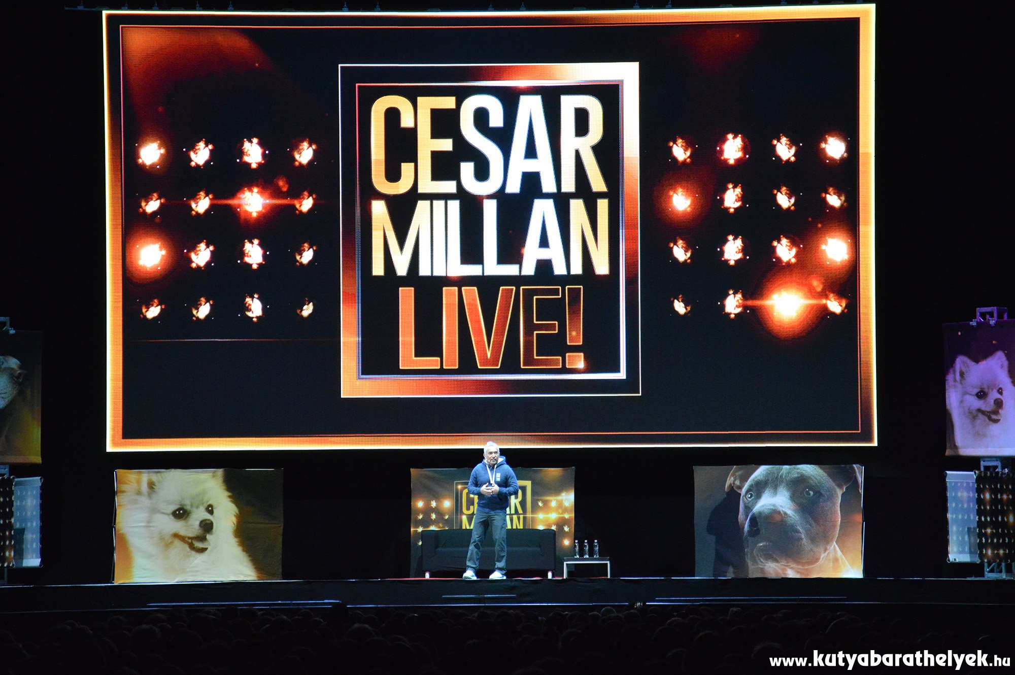 Cesar Millan Live Budapest - A csodálatos kutyadoki Magyarországon