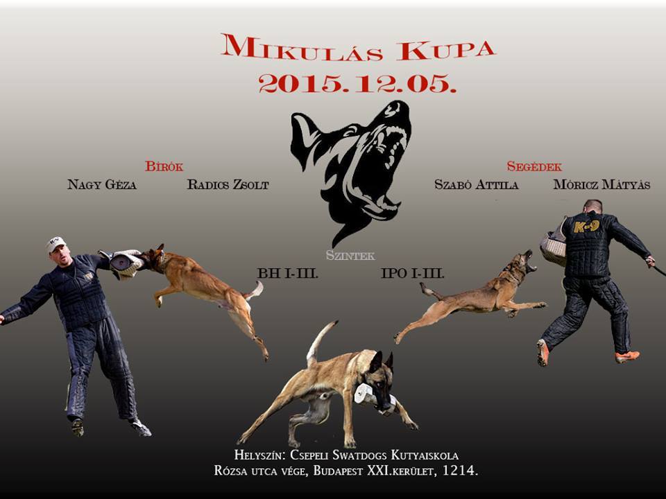 Mikulás kupa a Swat Dogsnál