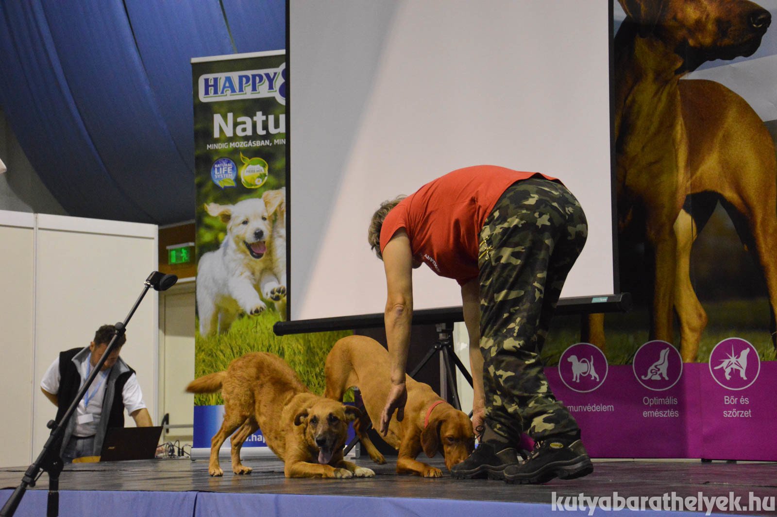 Kutyák és a gazdi összhangja: Dog dancing bemutató Gyurasics Erikával és kutyusaival