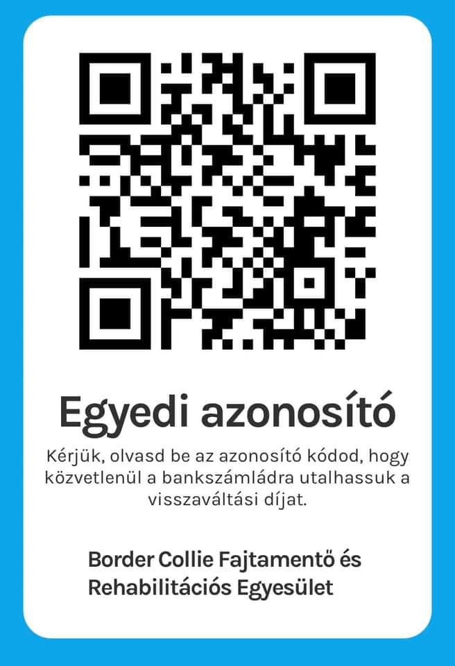 Border Collie Fajtamentő és Rehabilitációs Egyesület.jpg