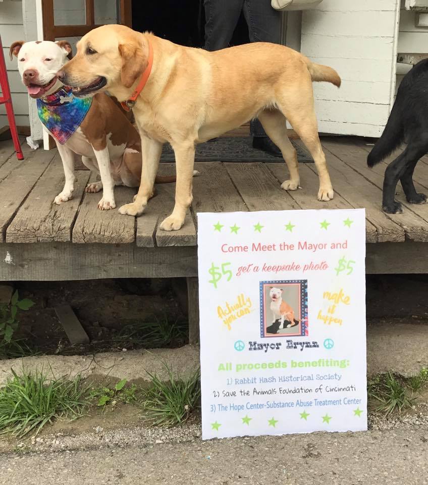A kutya polgármester jótékony célokra gyűjt adományokat