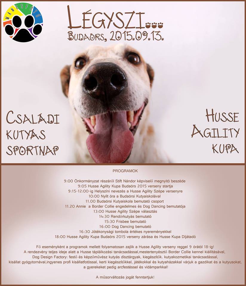 Husse Agility Kupa